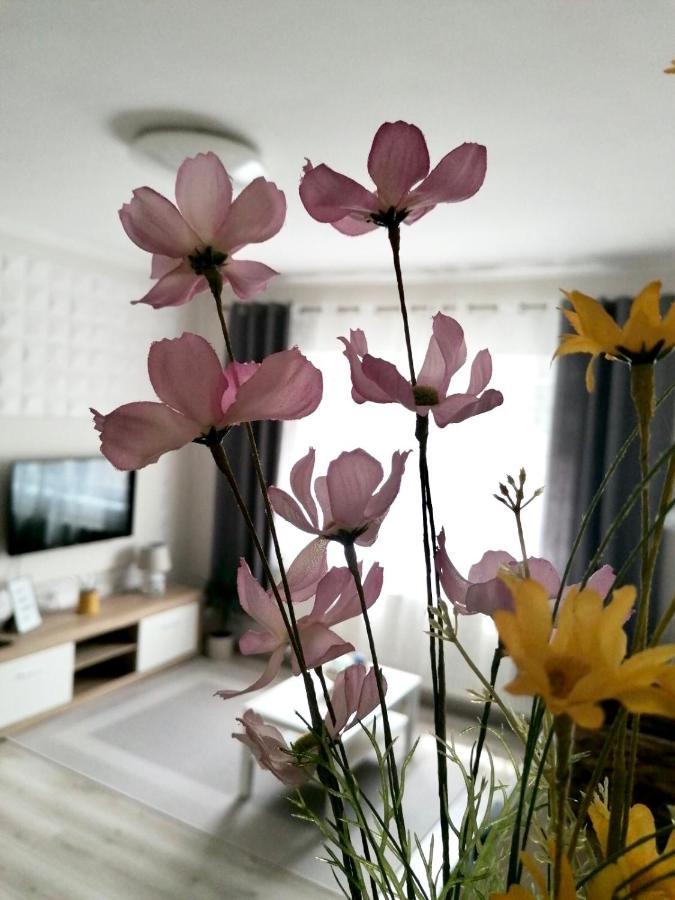 Sweet Central Apartment ,In The City Center Eger Luaran gambar
